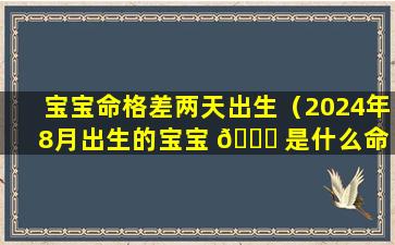 宝宝命格差两天出生（2024年8月出生的宝宝 🍀 是什么命 🐳 格）